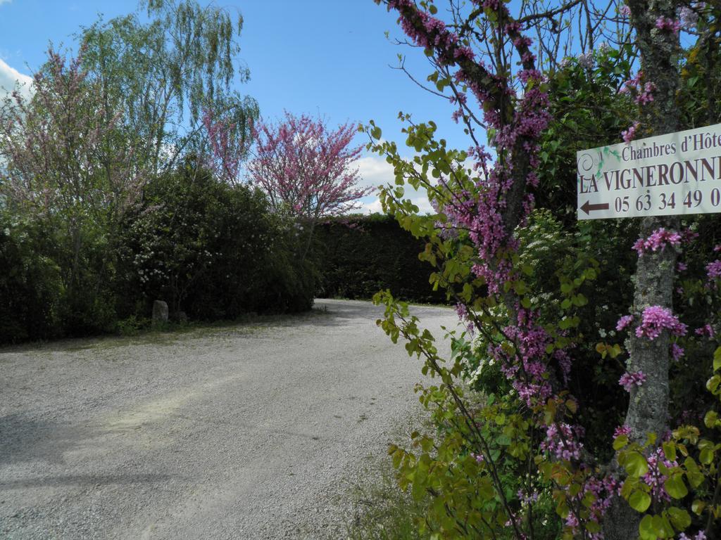 Chambres D'Hotes La Vigneronne Senouillac Buitenkant foto